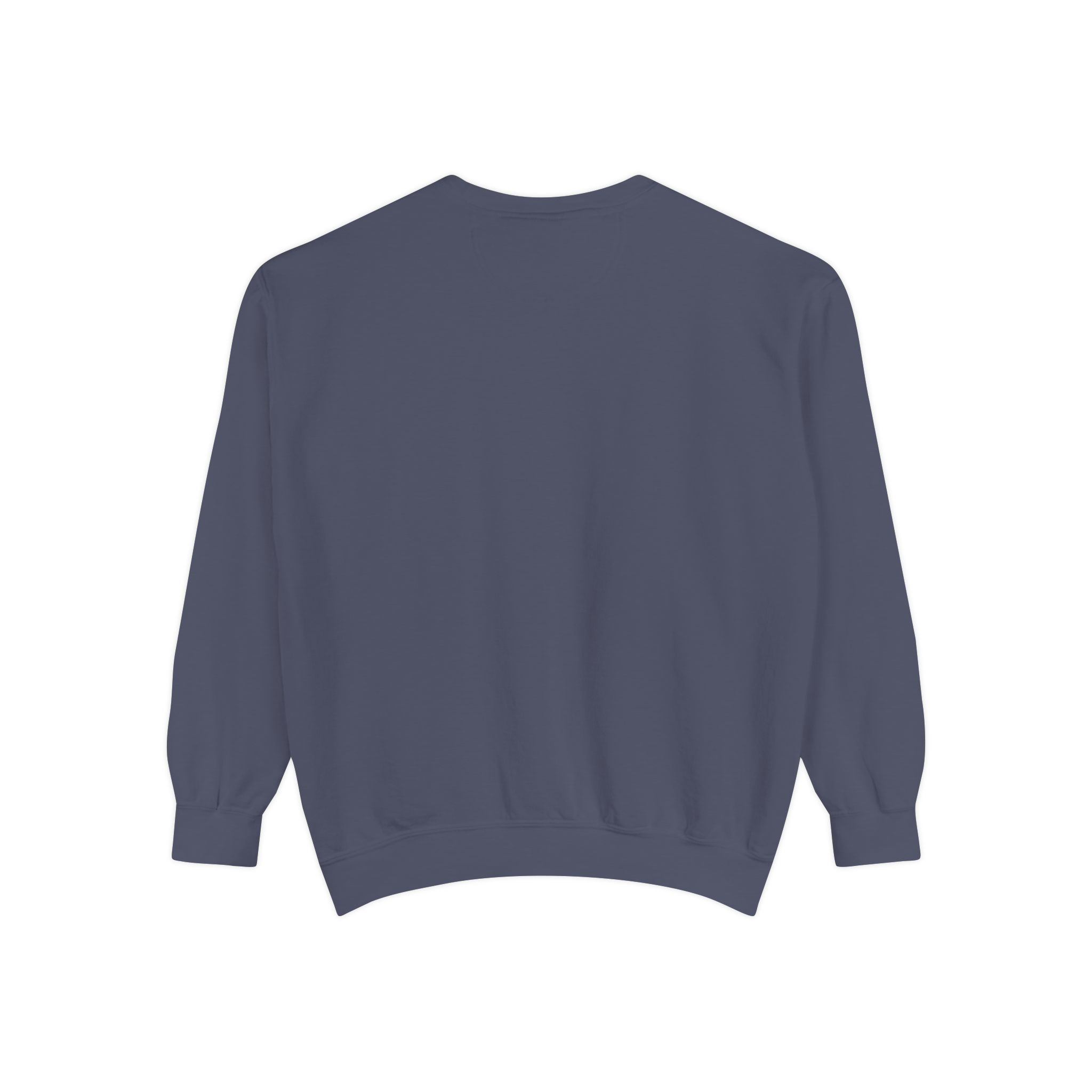 Sweater Weather & Award Letters Unisex Garment-Dyed Sweatshirt - Image 23