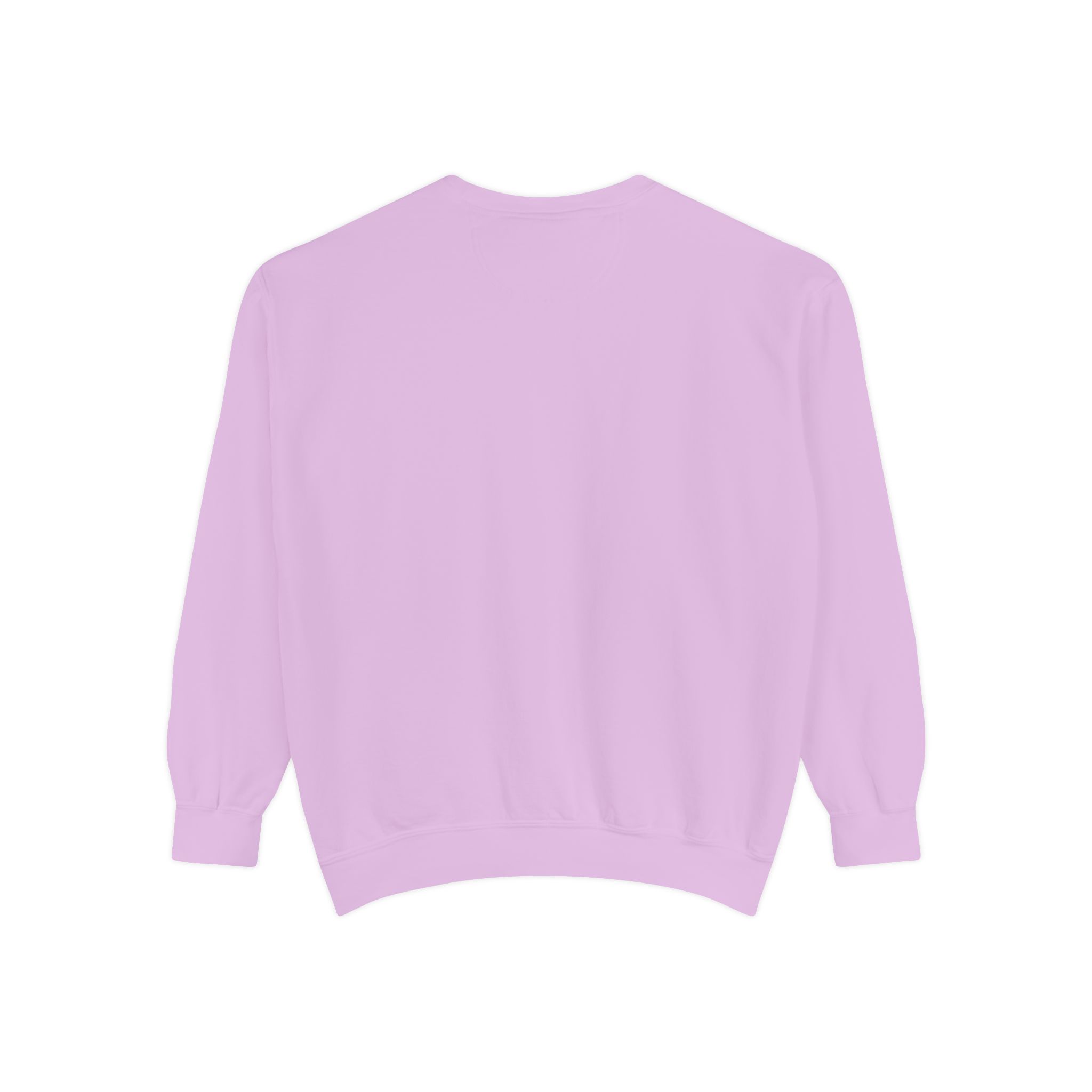 Harvesting Success Through Grants Unisex Garment-Dyed Sweatshirt - Image 3